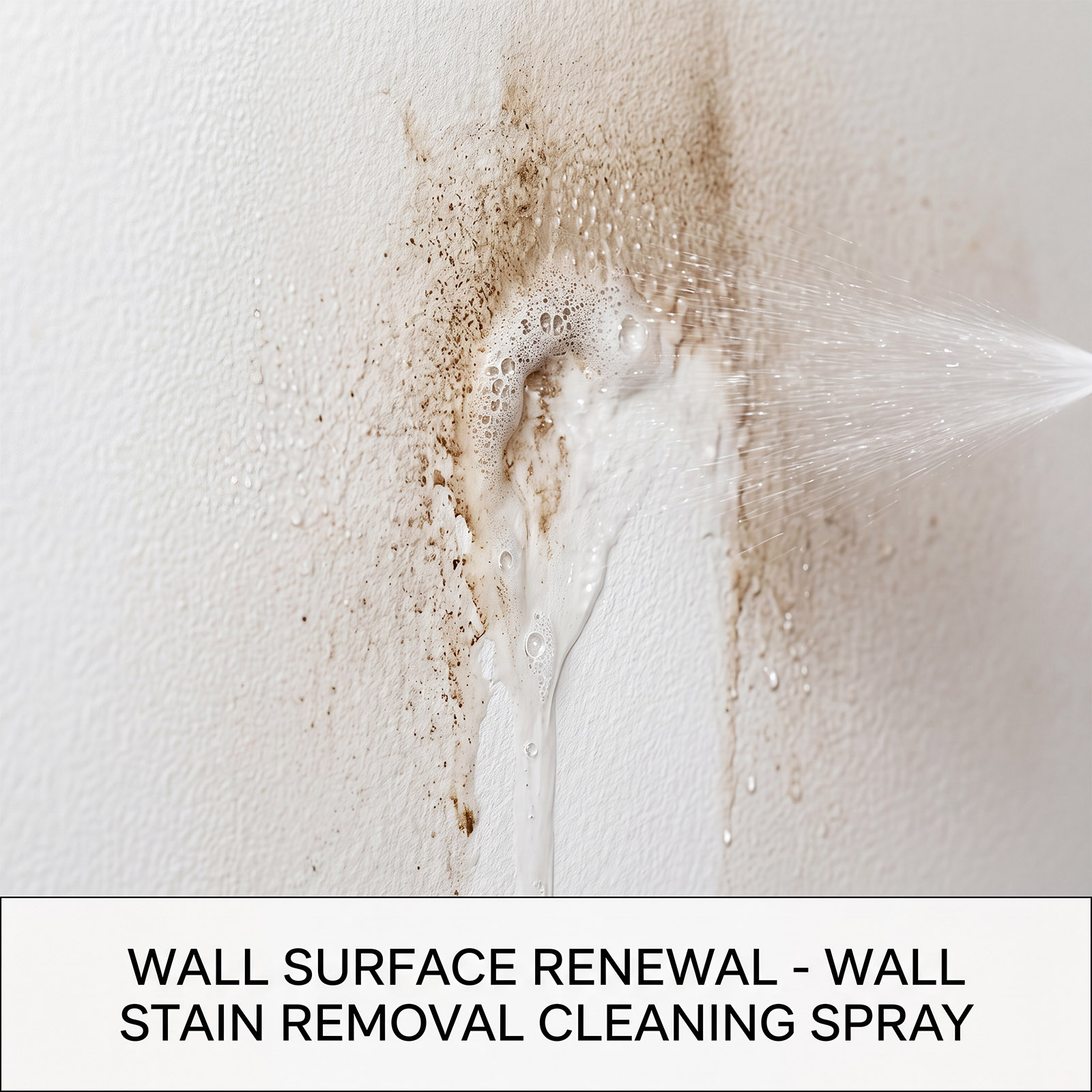 Mildew Remover Wall Spray Clea - Home Bathroom Cleaning ulasan dan harga